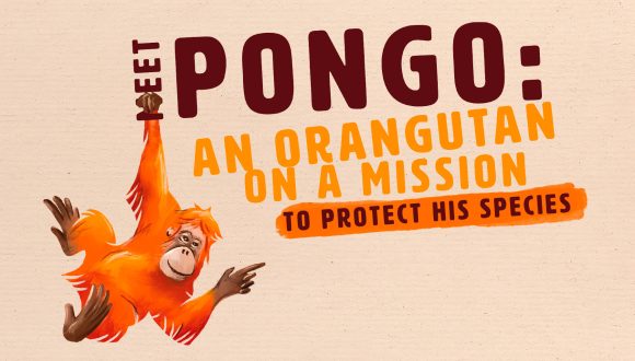 protect pongo graphics by leap design for meridian foods