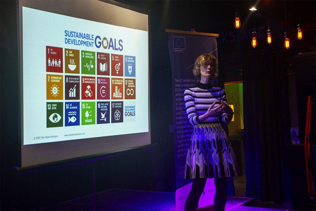 Fran van Dijk of One Stone Advisors leading a workshop on the UN SDGs