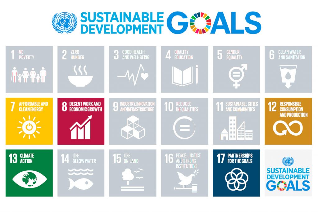 the seventeen un sustainable development goals with leap's targets in colour