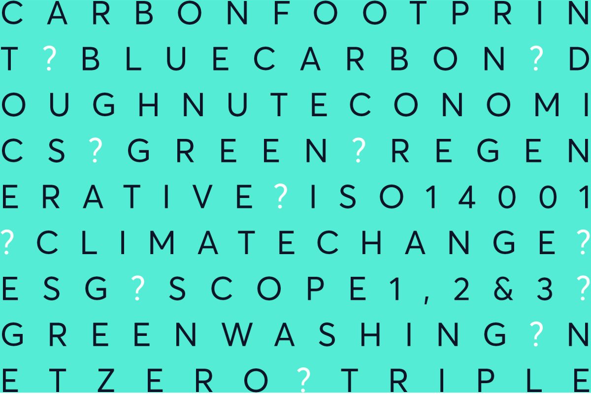 sustainability jargon