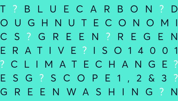sustainability jargon