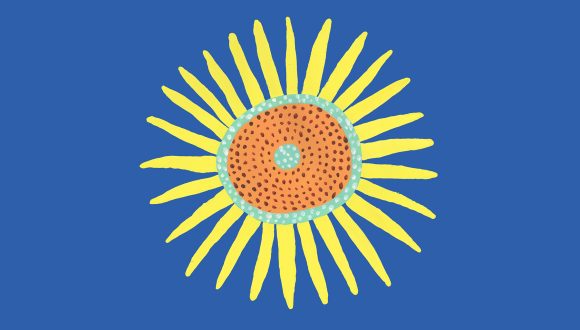 growing sunflowers campaign for ukraine