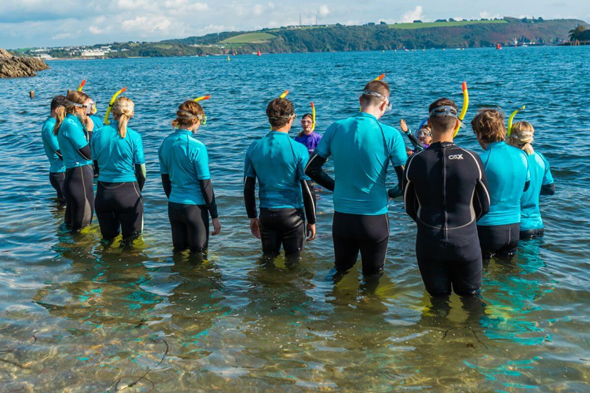 Ocean Conservation Trust group on snorkel safari standing in the water with snorkels and wetsuits