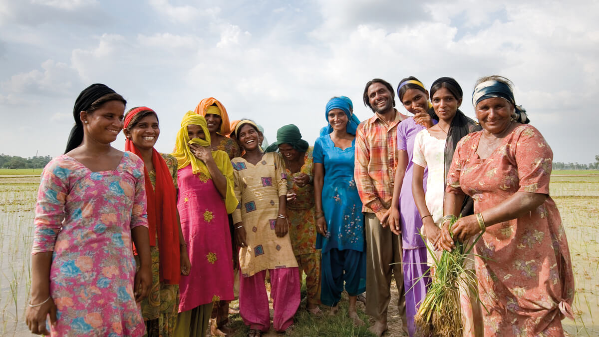 Group of rice farmers in India working with Tilda. Photo from their 2022 impact report