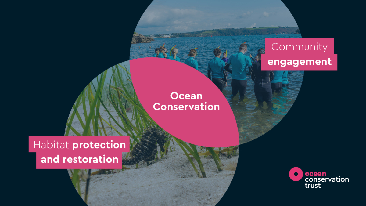 Venn diagram of community and conservation from OCT strategy document designed by Leap