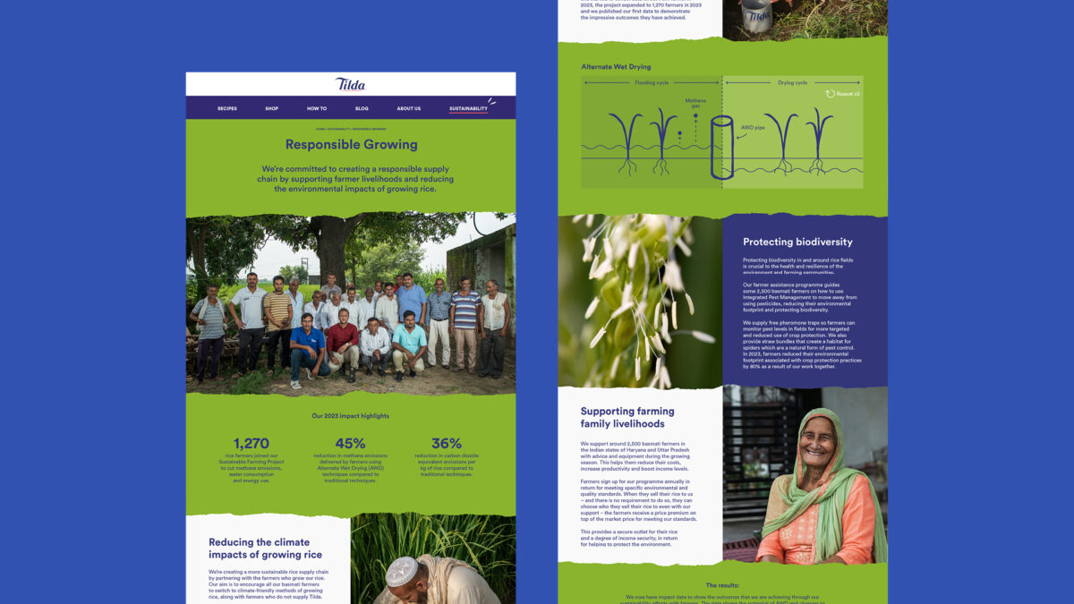 Tilda website mockup
